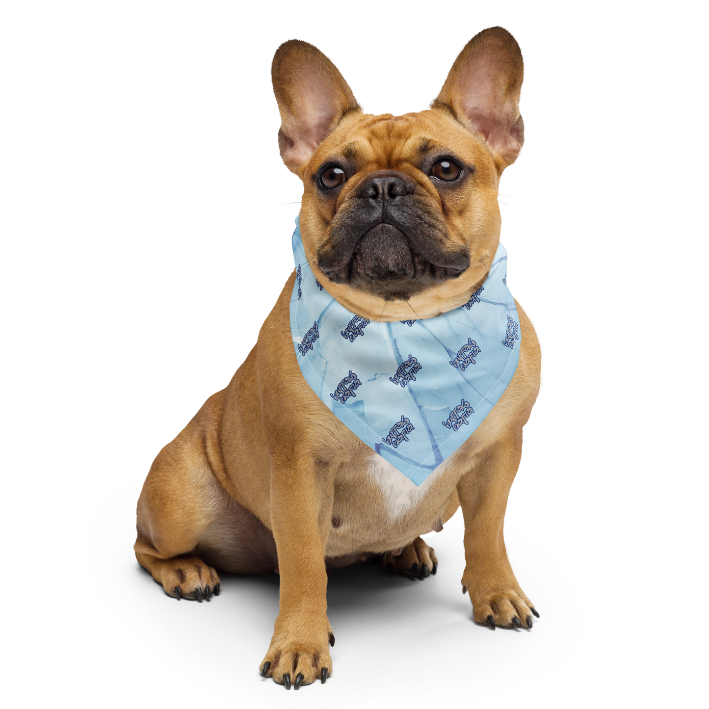 COLD FRONT Bandana