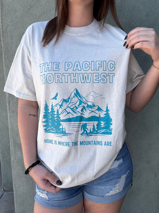 THE PNW Unisex Heavy Faded Tee
