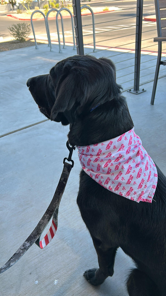 Hot Girl Saturday Pet Bandana