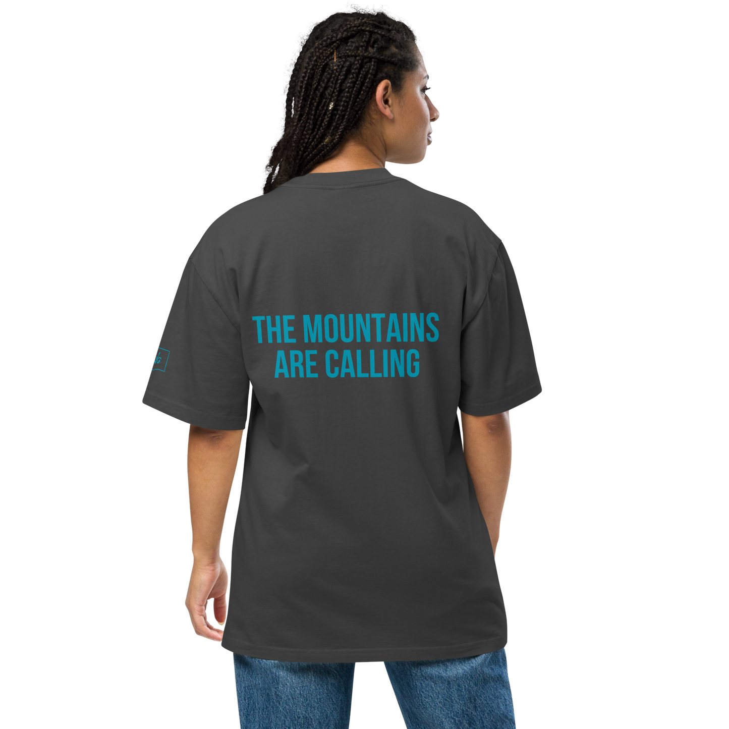 Stevens Pass Unisex Heavy Faded Tee V1