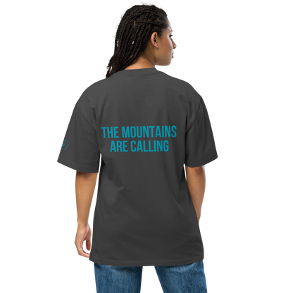 Stevens Pass Unisex Heavy Faded Tee V1
