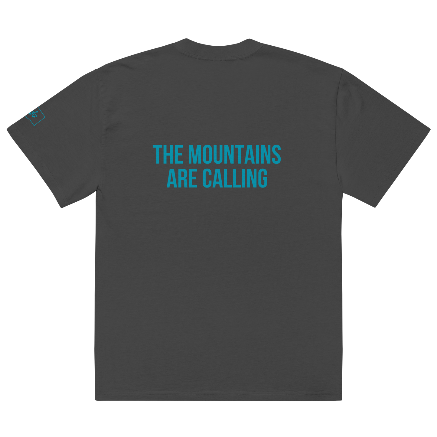 Stevens Pass Unisex Heavy Faded Tee V1