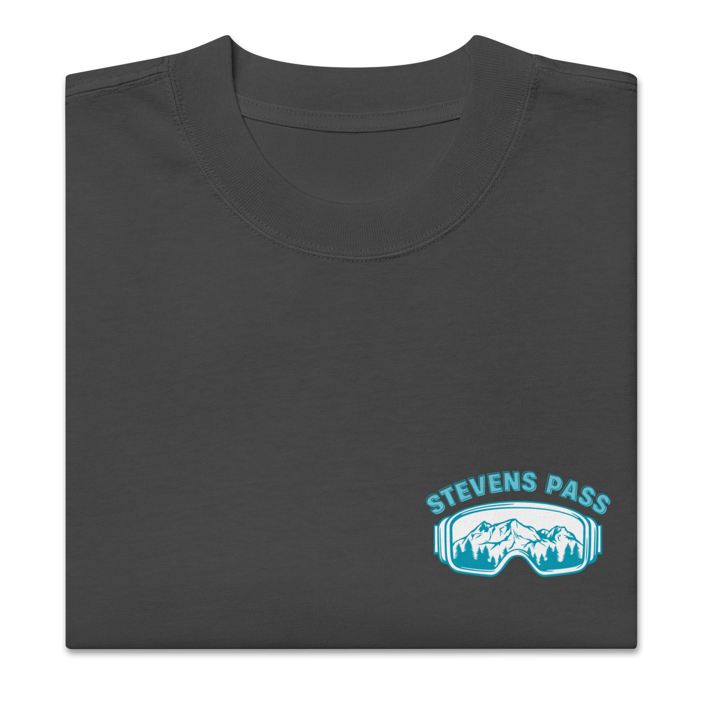 Stevens Pass Unisex Heavy Faded Tee V1