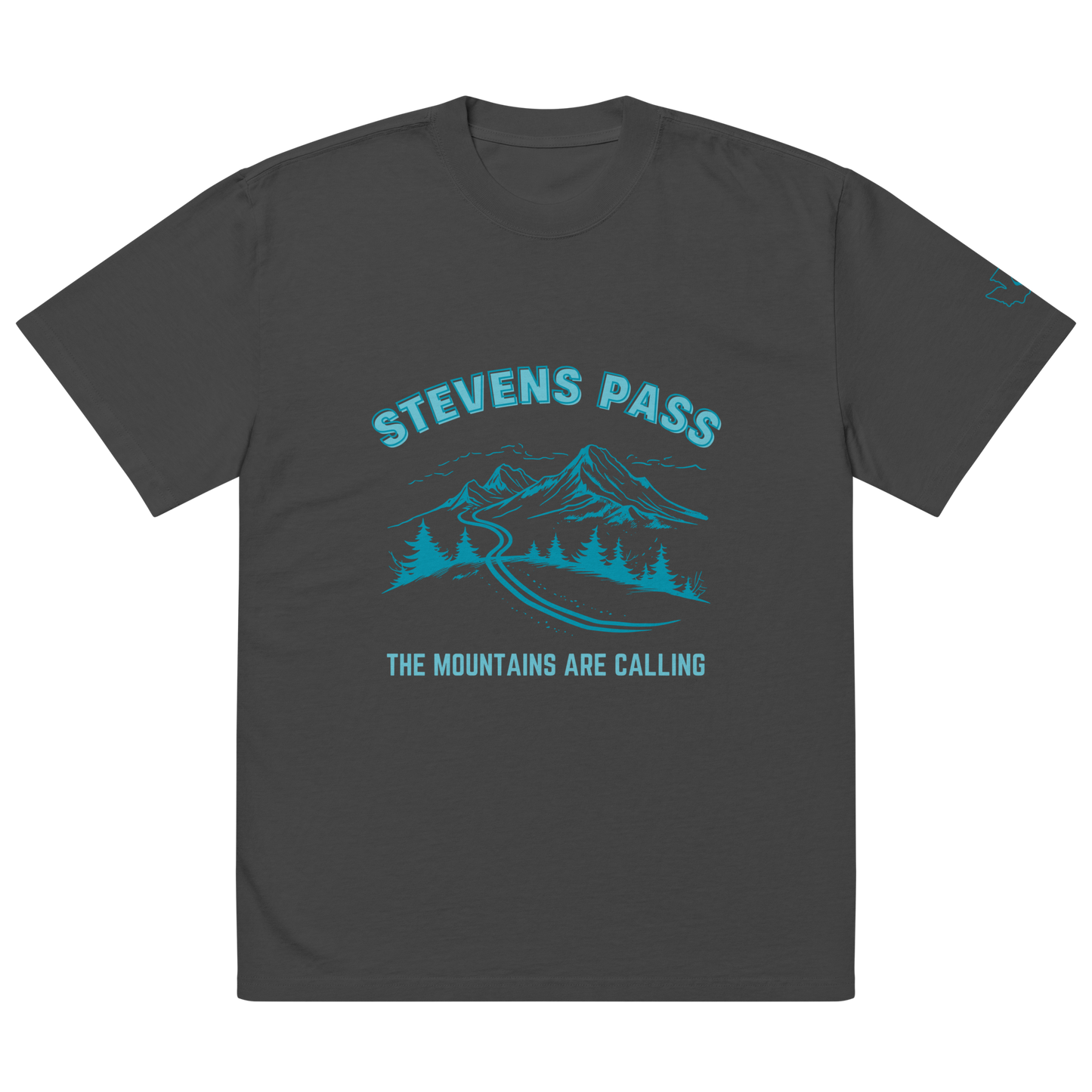 Stevens Pass Unisex Heavy Faded Tee V2