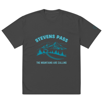 Stevens Pass Unisex Heavy Faded Tee V2