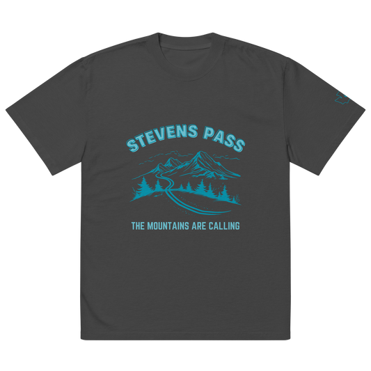 Stevens Pass Unisex Heavy Faded Tee V2