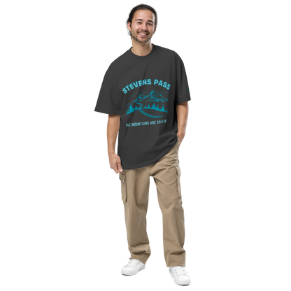 Stevens Pass Unisex Heavy Faded Tee V2