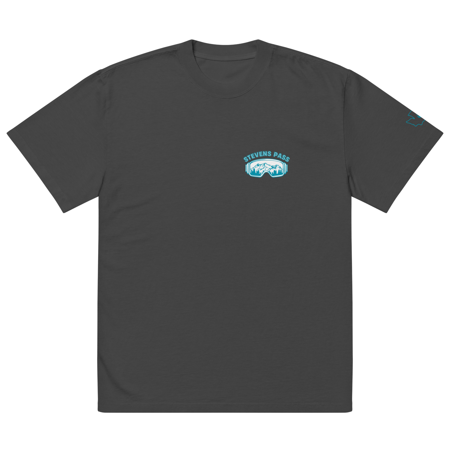Stevens Pass Unisex Heavy Faded Tee V1