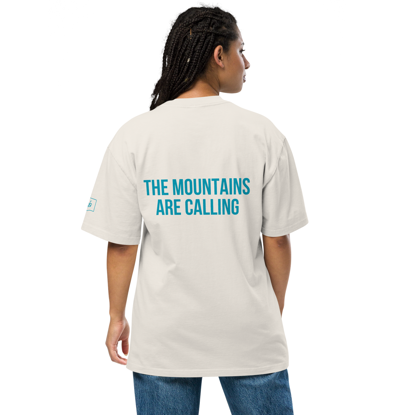Stevens Pass Unisex Heavy Faded Tee V1