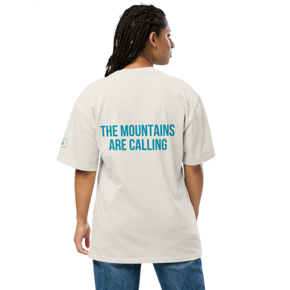 Stevens Pass Unisex Heavy Faded Tee V1