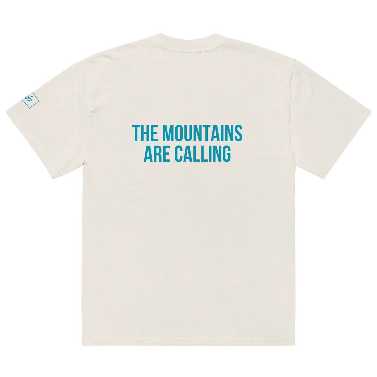 Stevens Pass Unisex Heavy Faded Tee V1