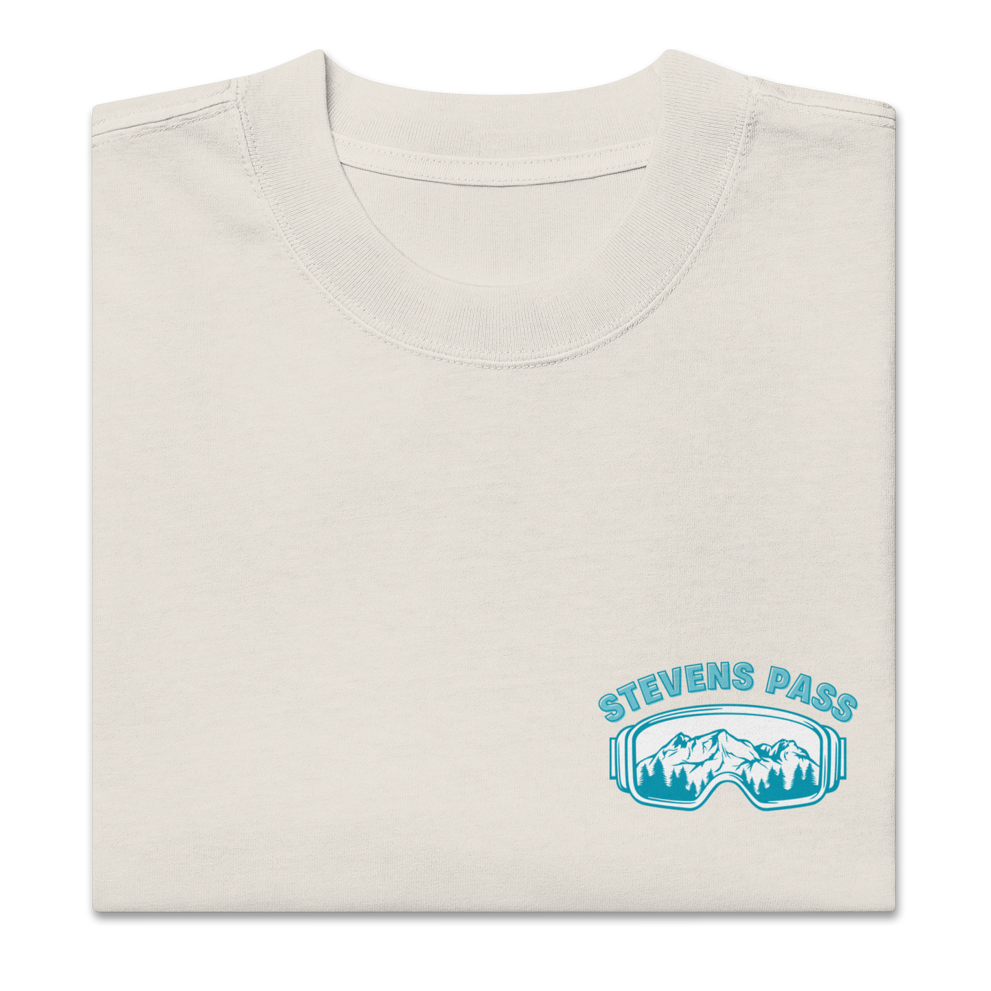 Stevens Pass Unisex Heavy Faded Tee V1
