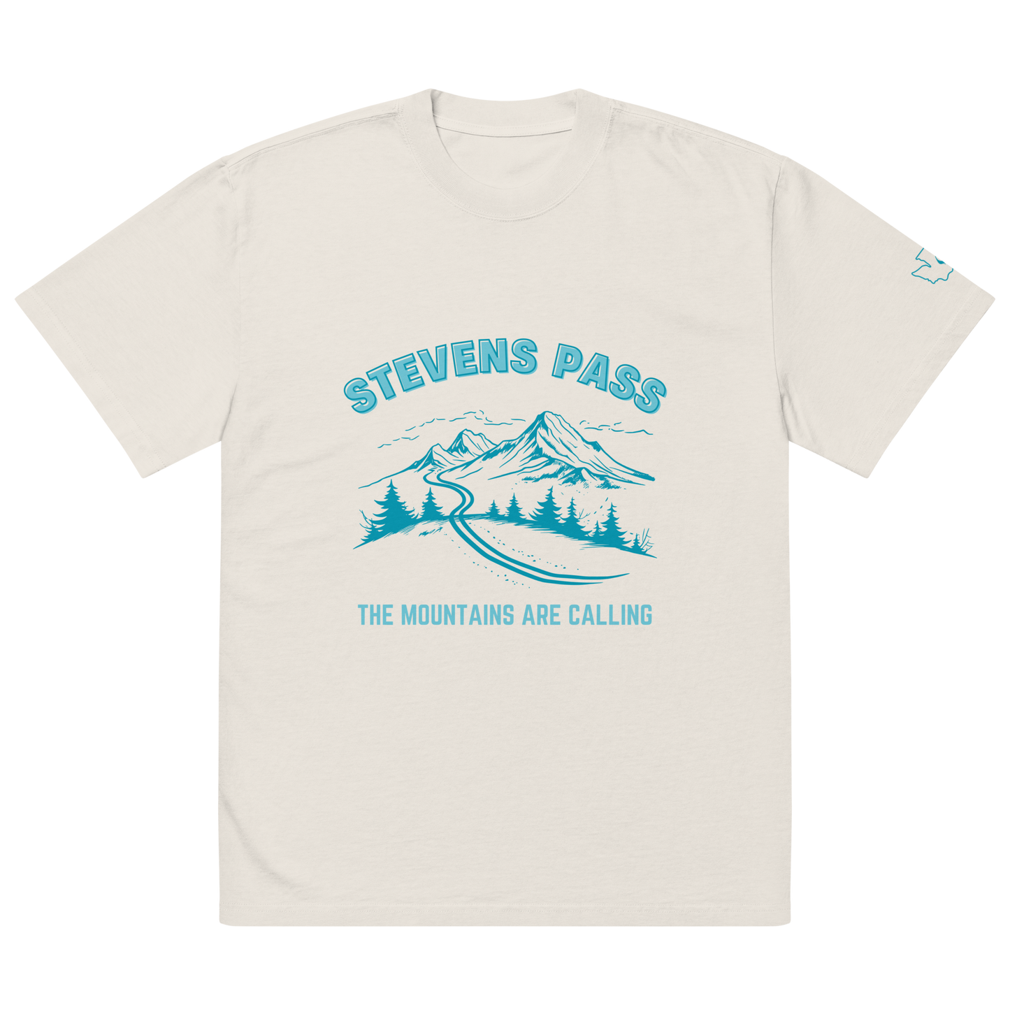 Stevens Pass Unisex Heavy Faded Tee V2