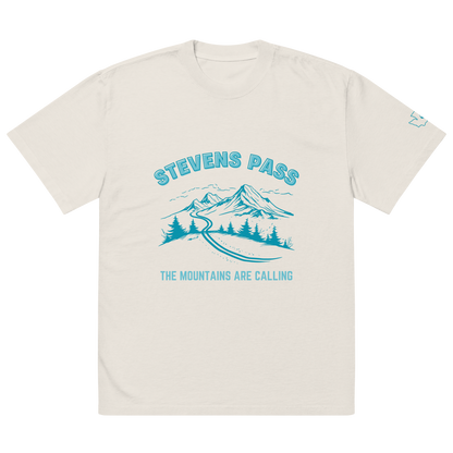 Stevens Pass Unisex Heavy Faded Tee V2