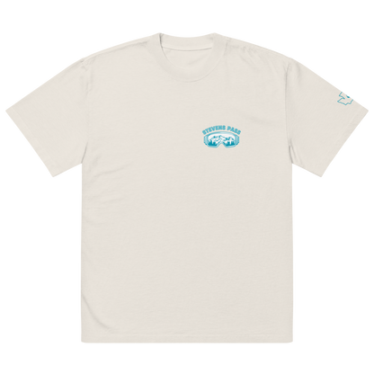 Stevens Pass Unisex Heavy Faded Tee V1